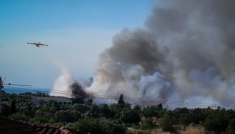 Φωτιά-στη-Πευκάλη-Σοφικού-Κορινθίας:-Πλησίασαν-τα-σπίτια-οι-φλόγες-–-Σε-ύφεση-το-μέτωπο