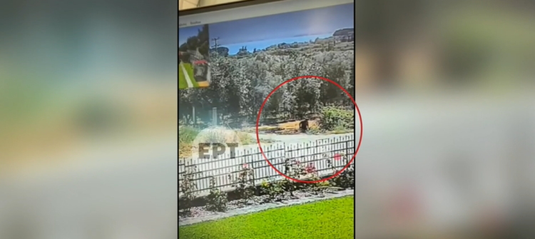 Αγρίνιο:-Ποινή-φυλάκισης-στον-50χρονο-για-εμπρησμό-από-πρόθεση-–-«Όταν-έβλεπα-τα-βάτα-μου-έσπαγαν-τα-νεύρα»