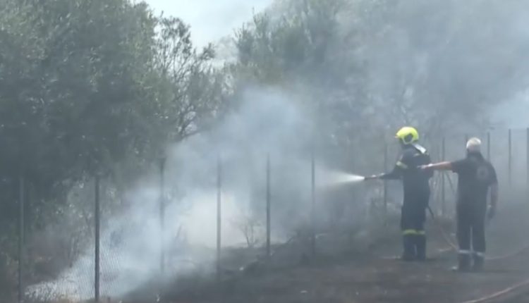 Κατασβέστηκε-η-φωτιά-που-ξέσπασε-ανάμεσα-σε-Παλλήνη-και-Σπάτα-–-Μήνυμα-από-το-112-στους-κατοίκους