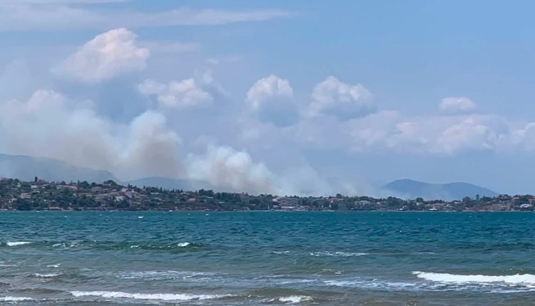 Φωτιά-στη-Δροσιά-Χαλκίδας-–-Μήνυμα-από-το-112-–-Στη-μάχη-40-πυροσβέστες-και-έξι-εναέρια-μέσα