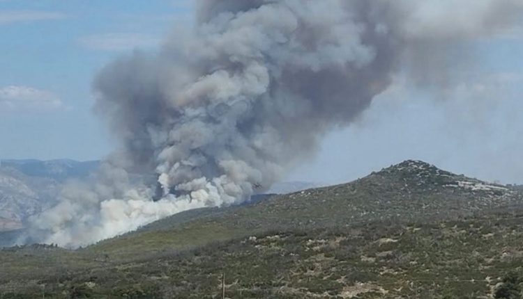 Φωτιά-τώρα-στην-Οινόη:-122-πυροσβέστες-8-αεροσκάφη-και-2-ελικόπτερα-στη-μάχη-–-Εστάλη-112-μήνυμα-στους-κατοίκους