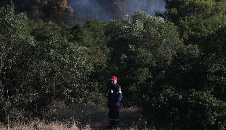Χωρίς-ενεργό-μέτωπο-η-φωτιά-στην-Οινόη-–-Ισχυρές-πυροσβεστικές-δυνάμεις-συνεχίζουν-να-επιχειρούν