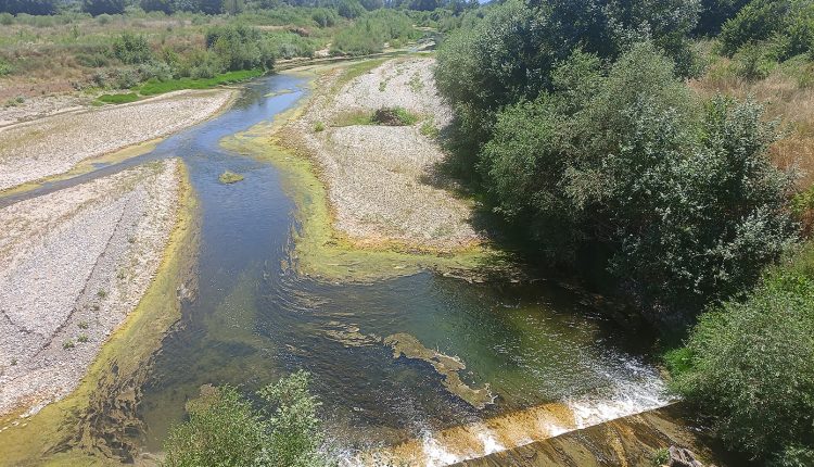 Ανησυχητική-η-μείωση-της-ροής-του-Πηνειού-ποταμού:-Πώς-εξηγείται-το-φαινόμενο