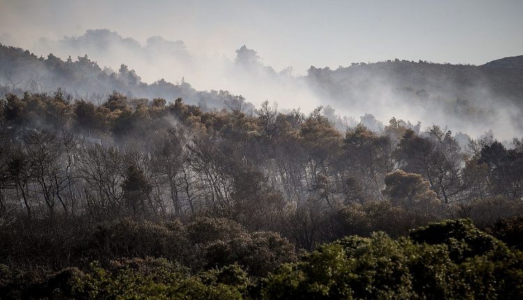 «Η-φωτιά-στην-Οινόη-δημιούργησε-τον-δικό-της-καιρό»,-λέει-ο-πυρομετεωρολόγος,-Θοδωρής-Γιάνναρος-–-Τι-είναι-η-πυροεπαγωγική-συμπεριφορά