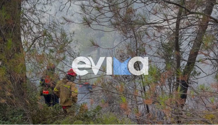 Φωτιά-τώρα-στο-χωριό-Μακρυκάπα-στην-Εύβοια