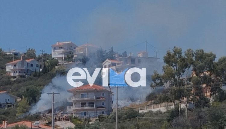 Πυρκαγιά-στην-Ακτή-Νηρέως-Ευβοίας-καίει-ξερά-χόρτα-δίπλα-σε-σπίτια-–-Επιχειρούν-ισχυρές-πυροσβεστικές-δυνάμεις