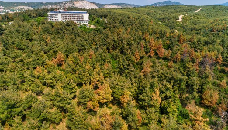 Θεσσαλονίκη:-Απαγόρευση-κυκλοφορίας-αύριο-σε-Σέιχ-Σου-και-δασικές-εκτάσεις-Ωραιοκάστρου,-Θέρμης-και-Πανοράματος