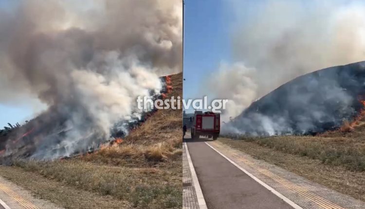 Φωτιά-τώρα-στο-Φράγμα-της-Θέρμης-–-Συναγερμός-στην-Πυροσβεστική