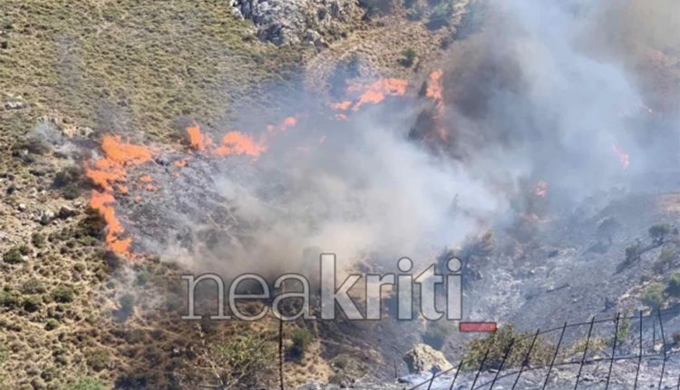 Σκληρή-μάχη-με-τις-φλόγες-στο-Μελιδοχώρι-Ηρακλείου-Κρήτης:-Οι-άνεμοι-φυσούν-με-μανία-και-το-112-εκκενώνει-οικισμούς