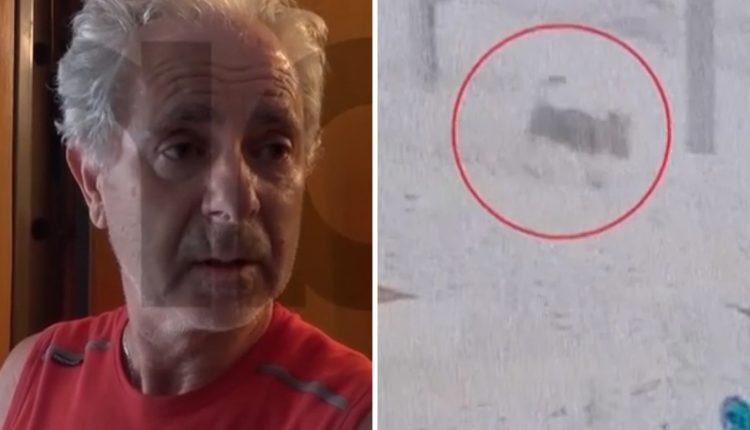 Σοκάρει-ο-66χρονος-που-δέχθηκε-άγρια-επίθεση-σκύλου-έξω-από-φούρνο-στα-Βριλήσσια:-«Έπνιξε-τον-Μαξ-επί-τόπου»