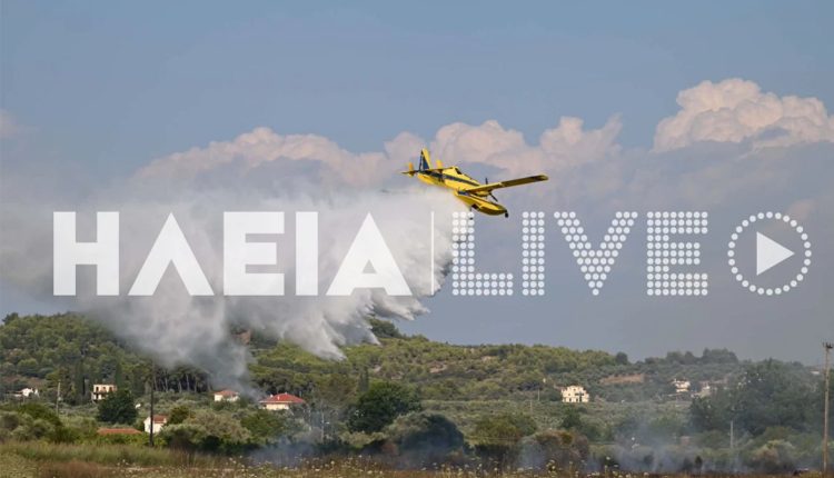 Συναγερμός-στον-Πύργο-Ηλείας-με-φωτιά-κοντά-σε-σπίτια-και-μήνυμα-από-το-112