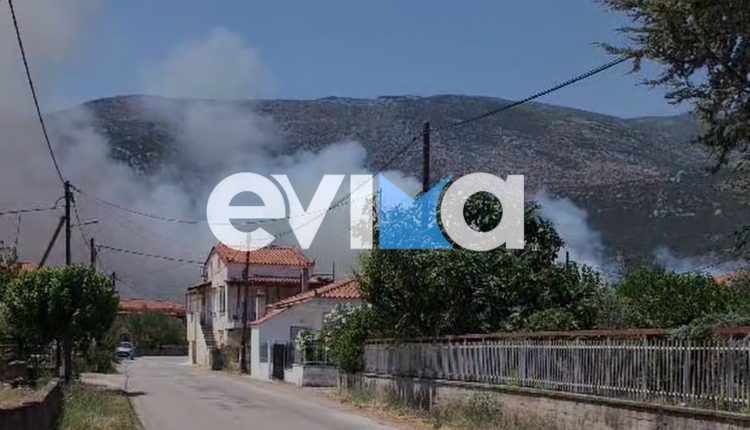 Μεγάλη-φωτιά-στην-Εύβοια:-Εστάλη-112-για-εκκένωση-του-χωριού-της-Επισκοπής