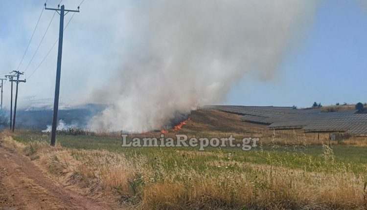 Φωτιά-στο-Παλαιοχώρι-Φθιώτιδας-–-Έξι-εναέρια-μέσα-στη-μάχη-της-πυρόσβεσης