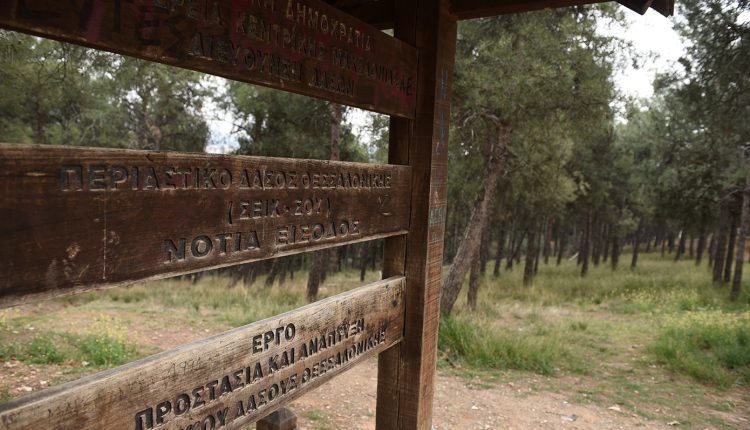 «Λουκέτο»-στα-δάση-της-Θεσσαλονίκης:-Απαγορεύεται-η-κυκλοφορία-σε-Σέιχ-Σου,-Ωραιόκαστρο,-Θέρμη-και-Πανόραμα