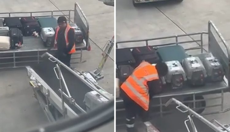 viral-έγινε-μια-πράξη-ανθρωπιάς-στο-«Ελευθέριος-Βενιζέλος»-–-Εργαζόμενος-χαϊδεύει-διασωθέντα-ζώα-που-έφτασαν-με-πτήση