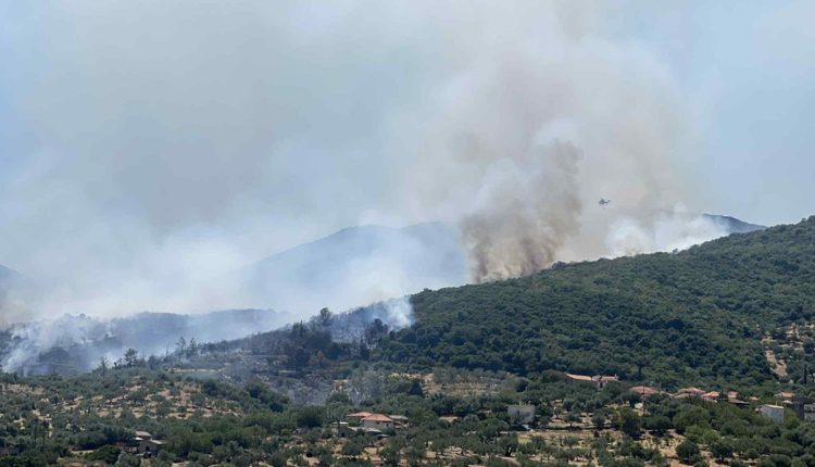 Φωτιά-τώρα-στα-Οινόφυτα-–-Επιχειρούν-εναέρια