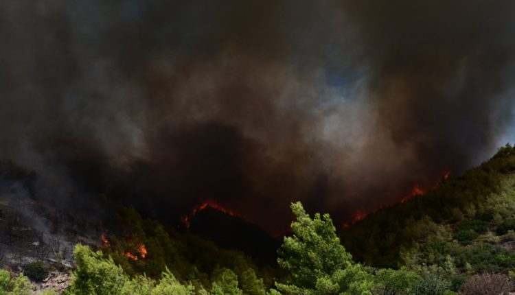 Φωτιά-τώρα-στη-Λευκίμμη-Σουφλίου-–-Μεγάλη-επιχείρηση-με-τέσσερα-εναέρια-μέσα