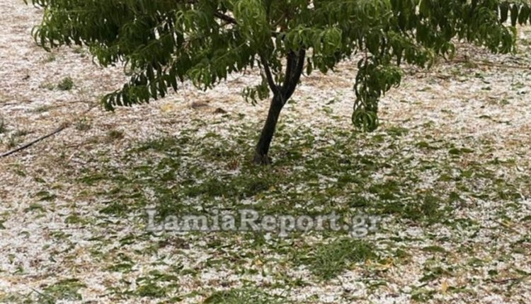 Από-τους-40°c στο-χαλάζι-–-Μεγάλες-ζημιές-σε-καλλιέργειες-στη-Λαμία