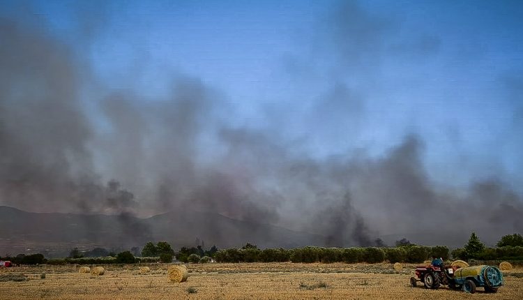 Συναγερμός-στην-Κινέτα:-Φωτιά-σε-δασική-έκταση