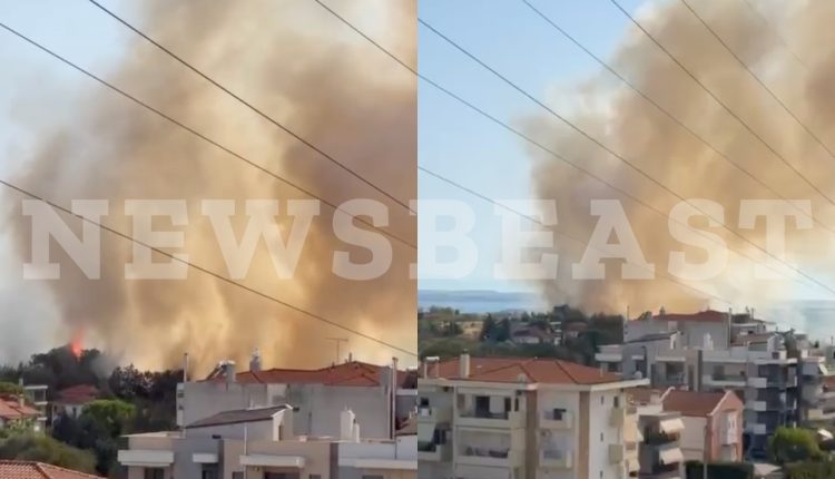 Φωτιά-στην-Πυλαία-Θεσσαλονίκης:-Τέθηκε-υπό-έλεγχο-σε-λιγότερο-απο-μια-ώρα-μετά-άμεση-επέμβαση-της-Πυροσβεστικής