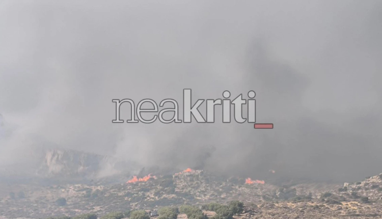 Νέα-φωτιά-στην-Κρήτη:-Μάχη-με-τις-φλόγες-στην-Αγία-Τριάδα-Σητείας