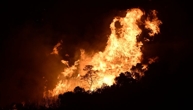 Εφιαλτική-νύχτα-με-ασταμάτητες-αναζωπυρώσεις-στο-Ρέθυμνο-–-Τεράστια-καταστροφή-στο-φοινικόδασος-στην-Πρέβελη
