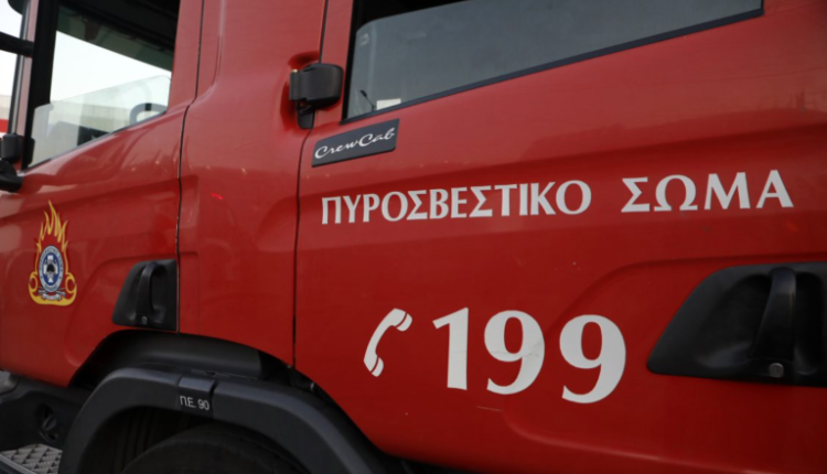 Κ.-Τσίγκας-στο-ΕΡΤnews:-«Οι-περισσότερες-πυρκαγιές-φαίνεται-να-ξεκίνησαν-από-αμέλεια»-–-Οκτώ-συλλήψεις