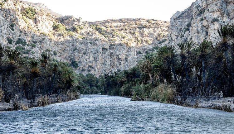 Αποκαρδιωτική-η-εικόνα-στην-Πρέβελη-την-επόμενη-μέρα-της-μεγάλης-φωτιάς-–-Δείτε-φωτογραφίες