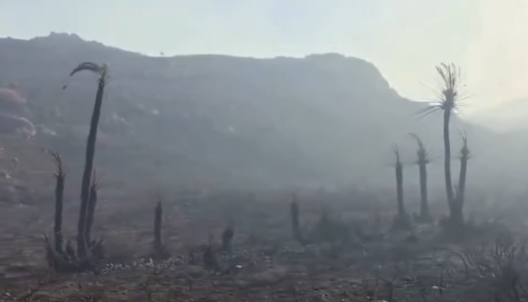 Κρανίου-τόπος-η-Πρέβελη-μετά-τη-φωτιά-–-Σοκαριστικό-βίντεο
