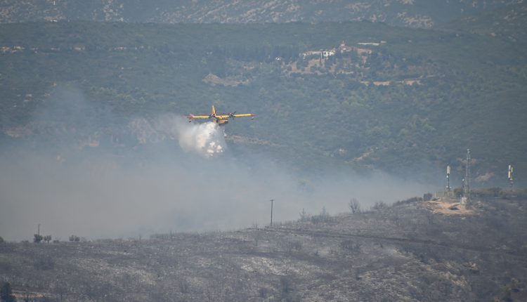 Άρτα:-Βελτιωμένη-η-εικόνα-στη-φωτιά-στο-Κομπότι-–-Κάηκαν-καλλιέργειες-και-κτηνοτροφικές-μονάδες