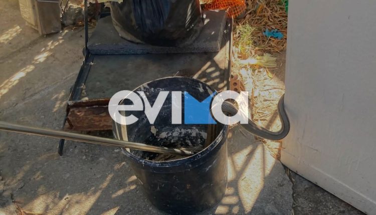Φίδι-δύο-μέτρων-εισέβαλε-σε-αποθήκη-κατοικίας-στην-Εύβοια
