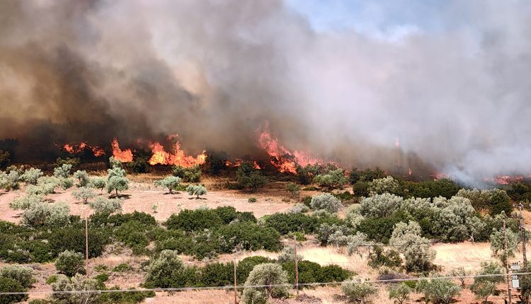 Σε-«πορτοκαλί»-συναγερμό-σήμερα-για-εκδήλωση-πυρκαγιάς-η-Αττική,-η-Βοιωτία-και-η-Εύβοια