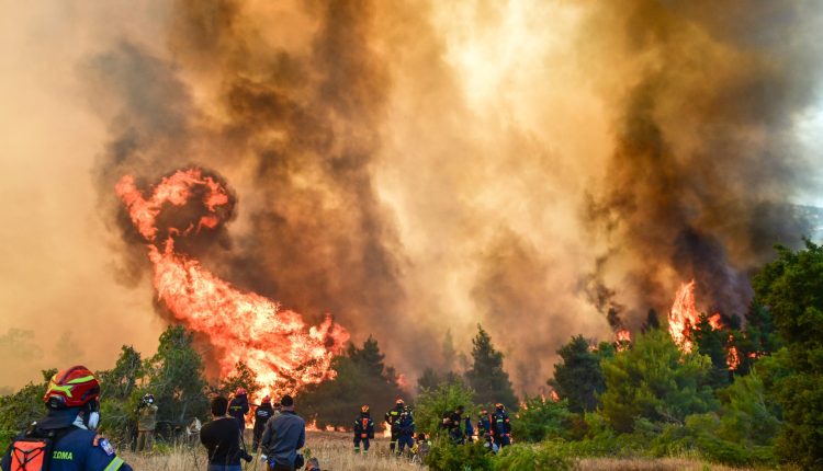 Σε-πλήρη-κινητοποίηση-ο-κρατικός-μηχανισμός-για-τη-στήριξη-των-πληγέντων-από-τις-πυρκαγιές-–-Αυτοψίες-σε-έξι-δήμους