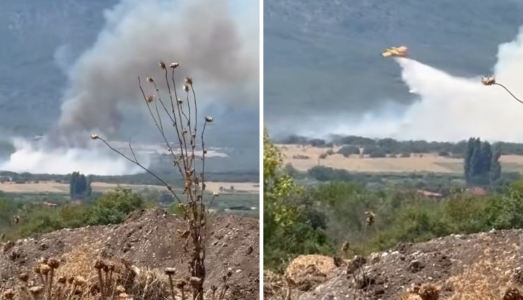 Κατερίνη:-Οριοθετήθηκε-η-φωτιά-που-ξέσπασε-στη-Βροντού