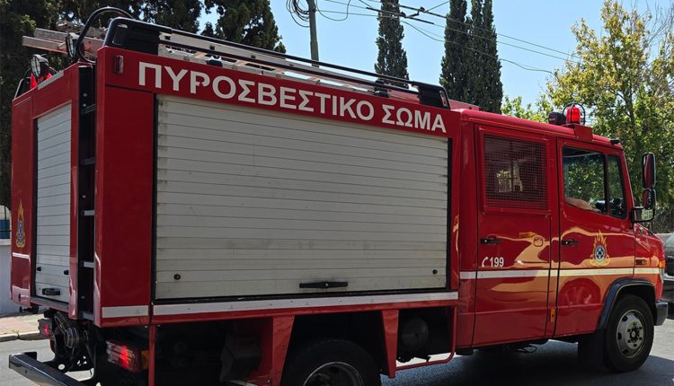 Κιλκίς:-Υπό-πλήρη-έλεγχο-η-φωτιά-στην-Ξηρόβρυση