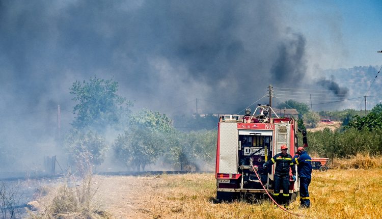 Τέσσερις-συλλήψεις-για-φωτιές-και-παραβάσεις-πυροπροστασίας-–-30-πυρκαγιές-σε-ένα-24ωρο