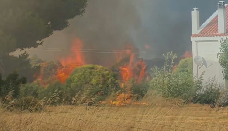 Απίστευτη-μάχη-με-τις-φλόγες-για-να-σωθεί-οικισμός:-Πυροσβέστες,-εθελοντές-και-κάτοικοι-έγιναν-ανθρώπινο-τείχος
