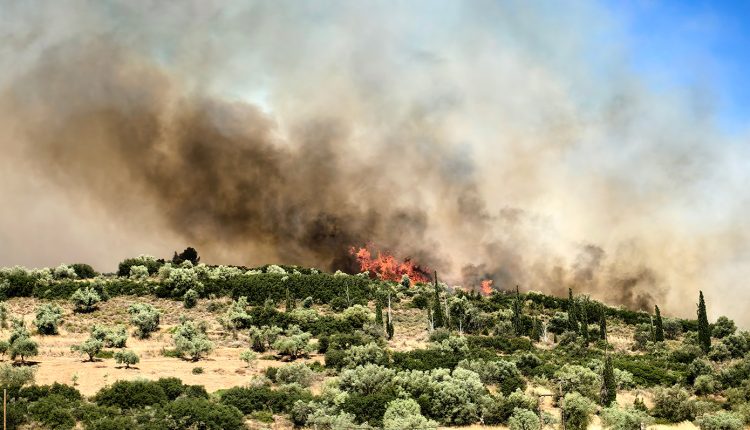 Εντατικοί-έλεγχοι-και-για-παραβάσεις-της-αντιπυρικής-νομοθεσίας-–-33-συλλήψεις-για-εμπρησμό-μέσα-σε-πέντε-ημέρες