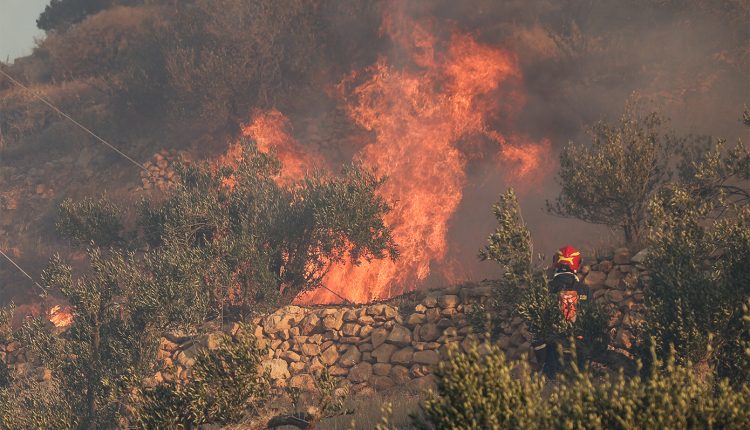 Φωτιά-στη-Θεσπρωτία-–-Επιχειρούν-εναέρια