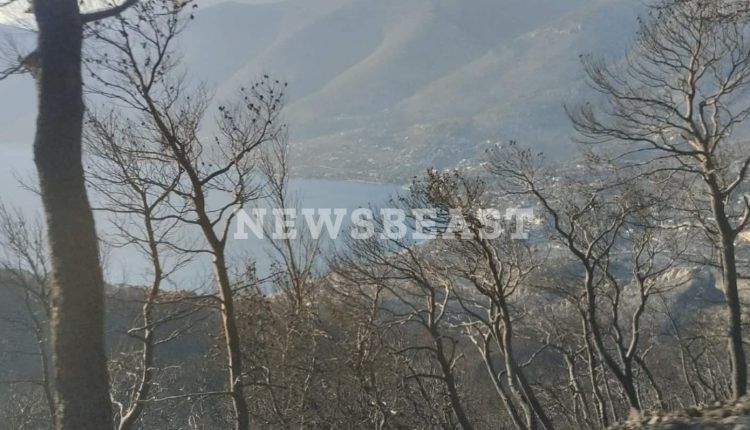 Οδοιπορικό-του-newsbeast-στα-πύρινα-μέτωπα-της-Δυτικής-Αττικής-–-Εικόνες-από-Ψάθα-και-Λούμπα