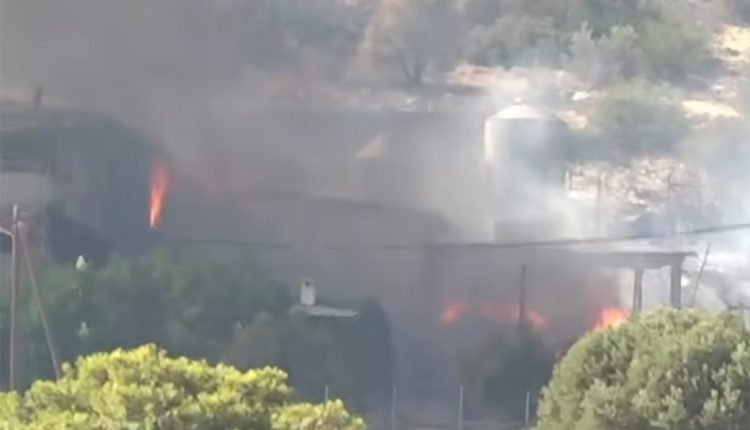 Περίπου-1.000-ζώα-και-πτηνά-χάθηκαν-από-τη-φωτιά-που-έκανε-στάχτη-κτηνοτροφική-μονάδα-στην-Κατσικαλή-Μεγάρων