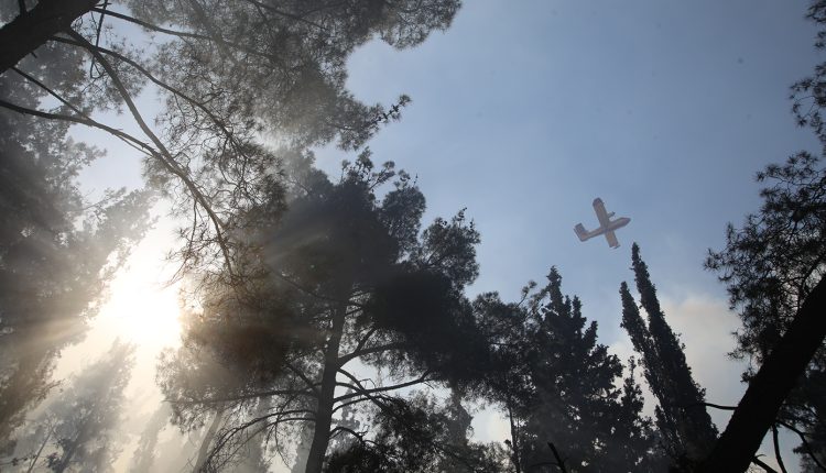 Οριοθετημένη-και-χωρίς-ενεργό-μέτωπο-η-πυρκαγιά-στο-Καρύδι-Σητείας