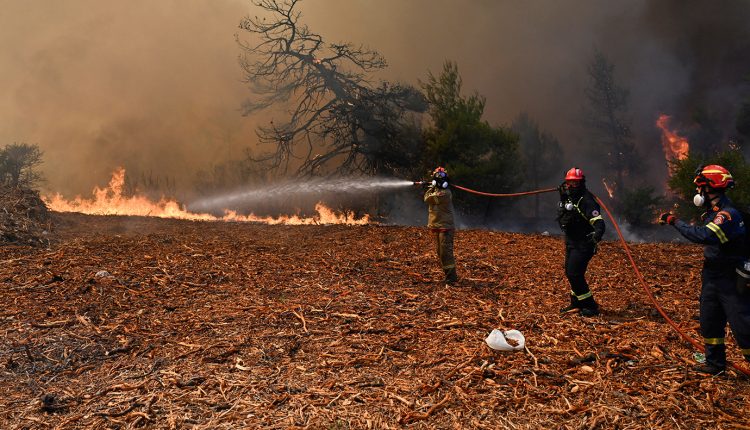 Συναγερμός-στη-Χαλκιδική:-Φωτιά-κοντά-στο-Πόρτο-Καρράς