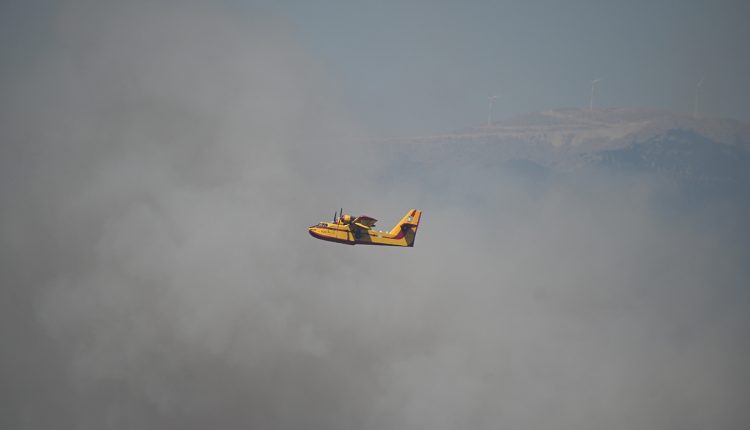 Φωτιά-τώρα-στα-Φάρσαλα:-Η-δεύτερη-σε-48-ώρες-–-Μήνυμα-του-112-για-τους-κατοίκους-της-Κρήνης
