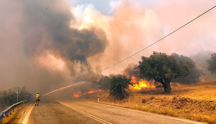 Φωτιά-στην-Κόρινθο:-Συναγερμός-στο-Στεφάνι-με-εναέρια-μέσα-και-μήνυμα-για-ετοιμότητα-από-το-112