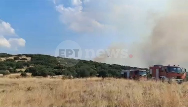 Φωτιά-στο-Στεφάνι-Κορινθίας:-Επιχειρούν-ισχυρές-δυνάμεις-–-Από-φωτοβολταϊκά-ξεκίνησε-η-πυρκαγιά,-σύμφωνα-με-τον-αντιδήμαρχο-Κορίνθου