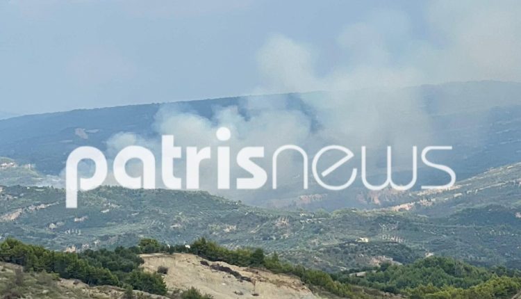 Φωτιά-στο-Μουζάκι-Ηλείας:-Οι-φλόγες-καίνε-πεύκα-στην-είσοδο-του-χωριού-–-Μεγάλη-δύναμη-της-πυροσβεστικής-στο-σημείο