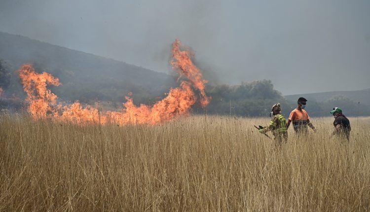 Φωτιά-στο-Νέο-Μοναστήρι-Δομοκού-–-Επιχειρούν-εναέρια