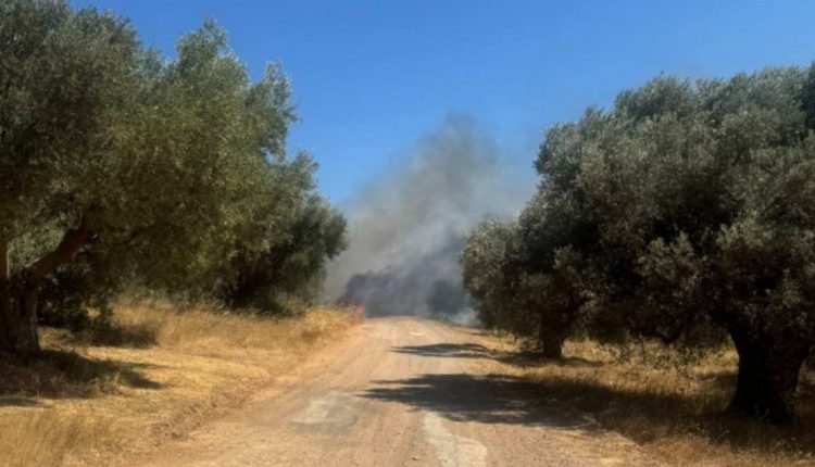 Φωτιά-στο-Πικέρμι-με-έναν-νεκρό-–-Ήχησε-το-112