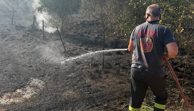 Άμεση-οριοθέτηση-πυρκαγιάς-στη-Δυτική-Αχαΐα-–-Συνεχής-εγρήγορση-λόγω-ισχυρών-ανέμων